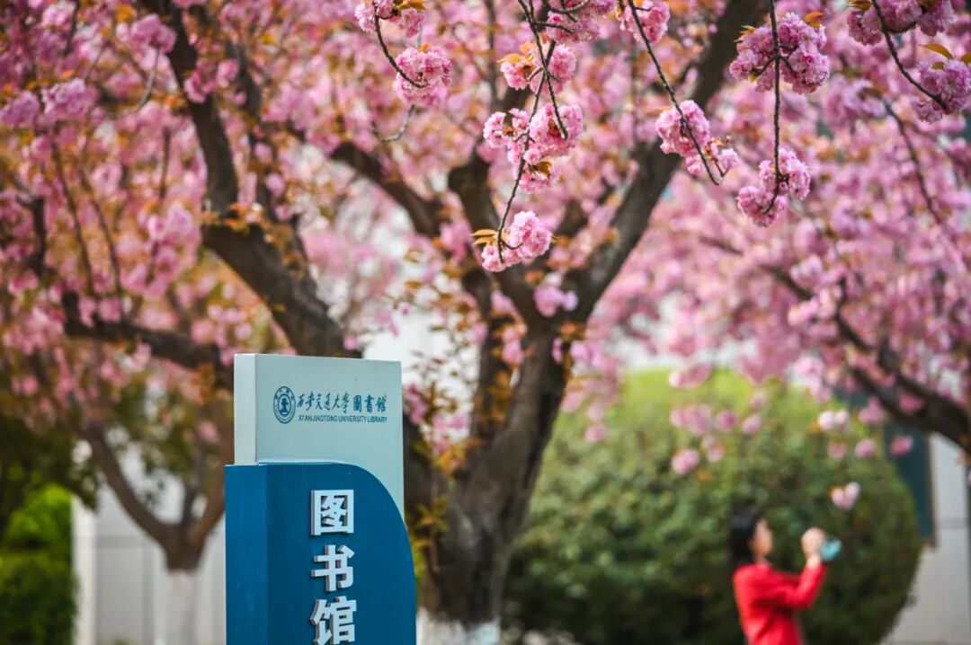 【130 爱不停】2026年西安交通大学校友返校活动公告(二)